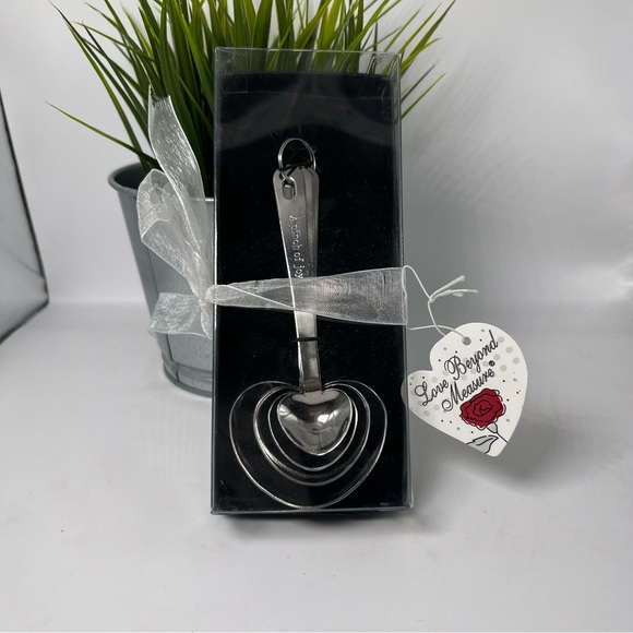 Love Beyond Measure Heart Shaped Measuring Spoons Set - Picture 1 of 4